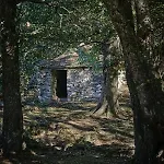 A Di