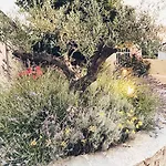 Guest house A Di Rutali