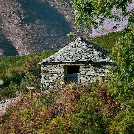 A Di Gasthuis Rutali