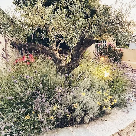 Casa de hóspedes A Di Rutali